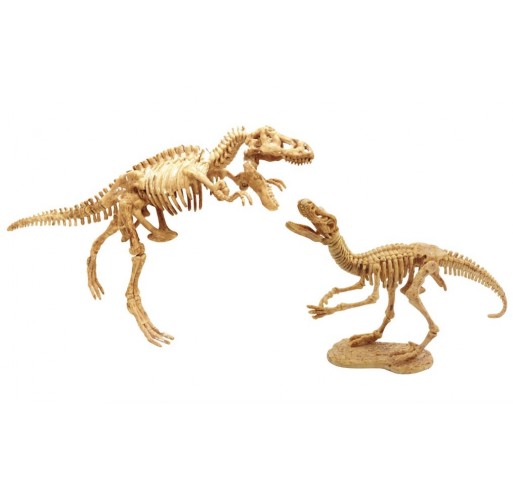 Dino Dig | Edunova Maroc
