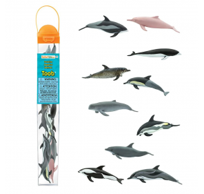 Tube dauphins