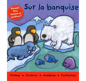 Sur la banquise