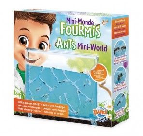 Mini monde des fourmis