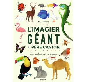 L'Imagier géant du Père Castor - La couleur des animaux