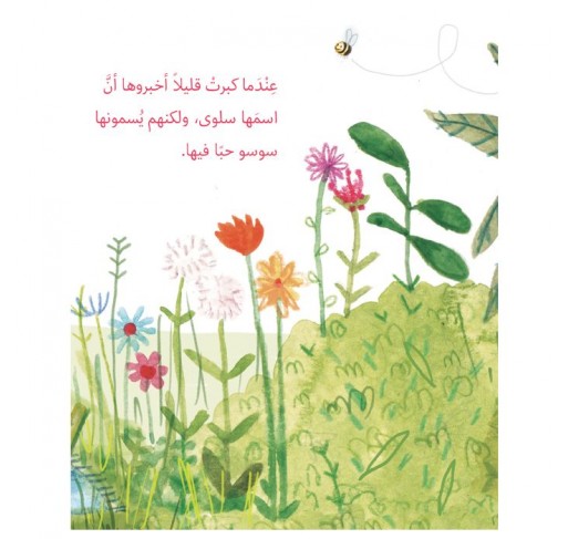 Soso (livre en Arabe) | Edunova Maroc