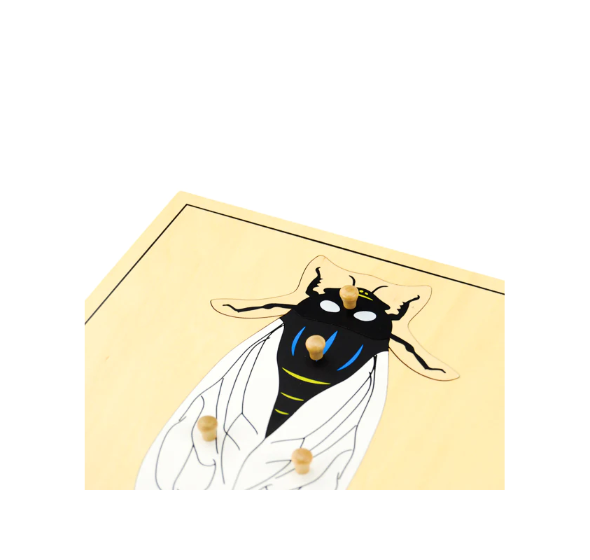 Puzzle de la Mouche | Edunova Maroc