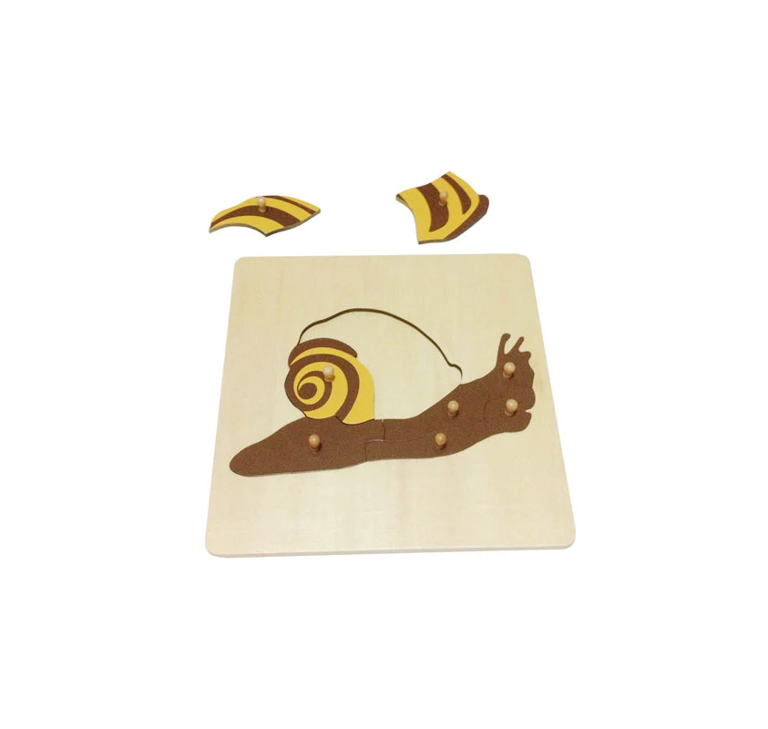 Puzzle de L'escargot | Edunova Maroc