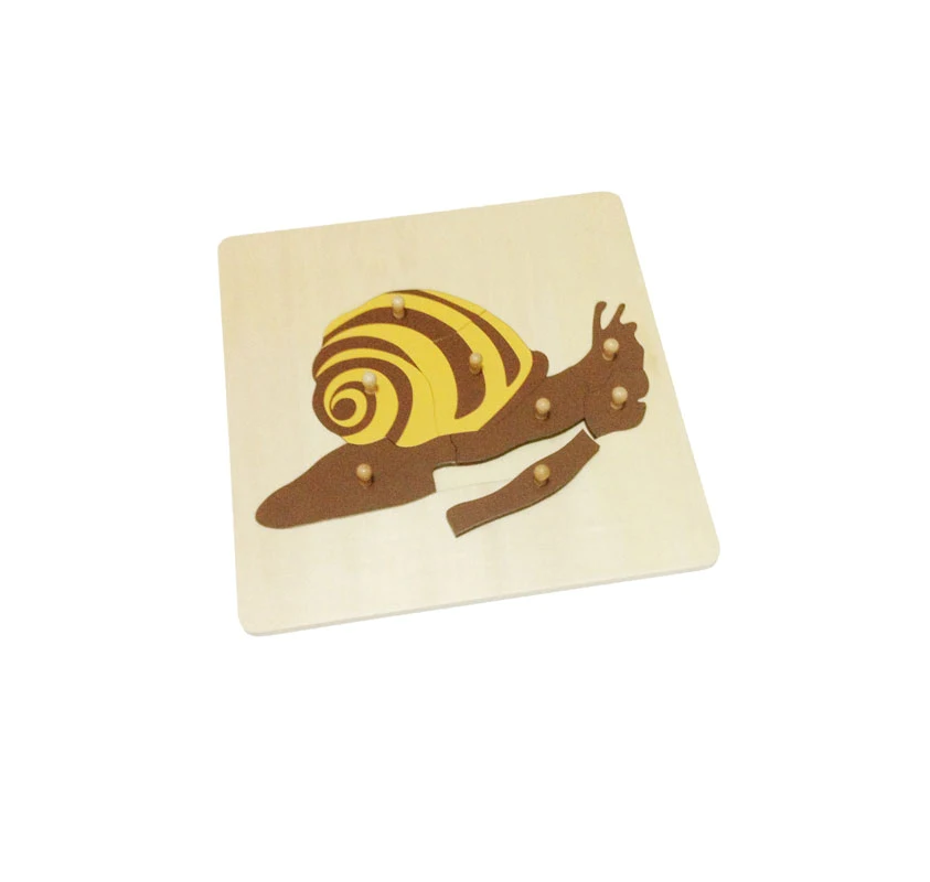 Puzzle de L'escargot | Edunova Maroc
