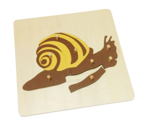 Puzzle de L'escargot | Edunova Maroc
