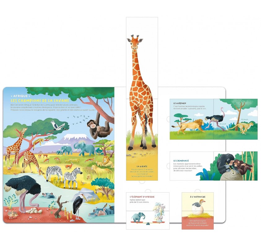 Questions-réponses : Surprenants Animaux | Edunova Maroc