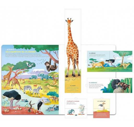 Questions-réponses : Surprenants Animaux | Edunova Maroc