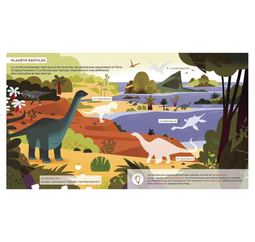 Les Docs pour Grandir : les Dinosaures Dès 5 Ans | Edunova