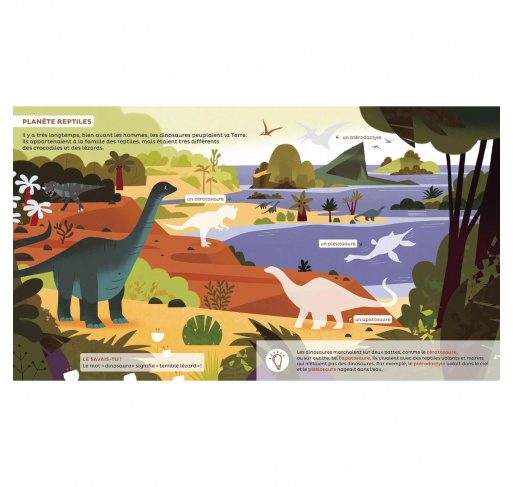 Les Docs pour Grandir : les Dinosaures Dès 5 Ans | Edunova