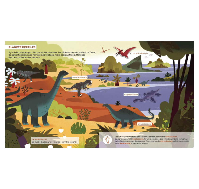 Les Docs pour Grandir : les Dinosaures Dès 5 Ans | Edunova