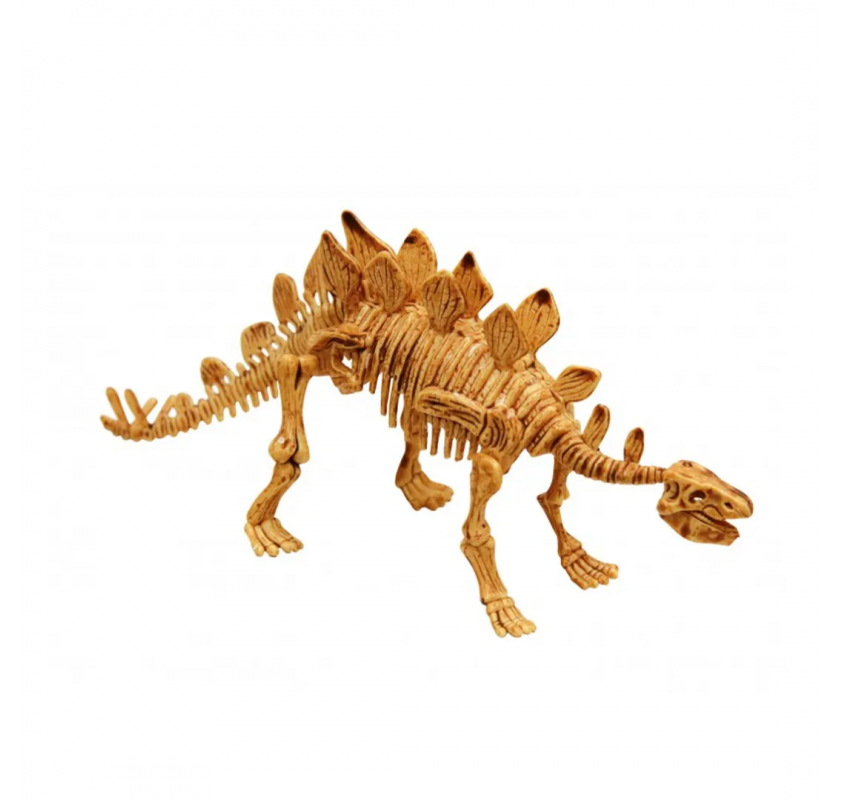 Dino Kit - Stégosaurus | Edunova Maroc