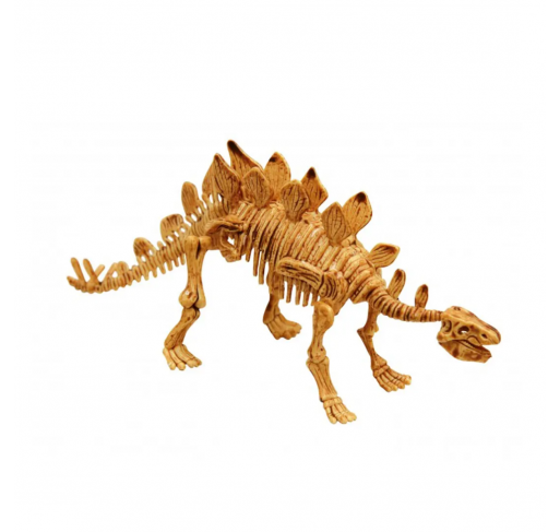 Dino Kit - Stégosaurus | Edunova Maroc