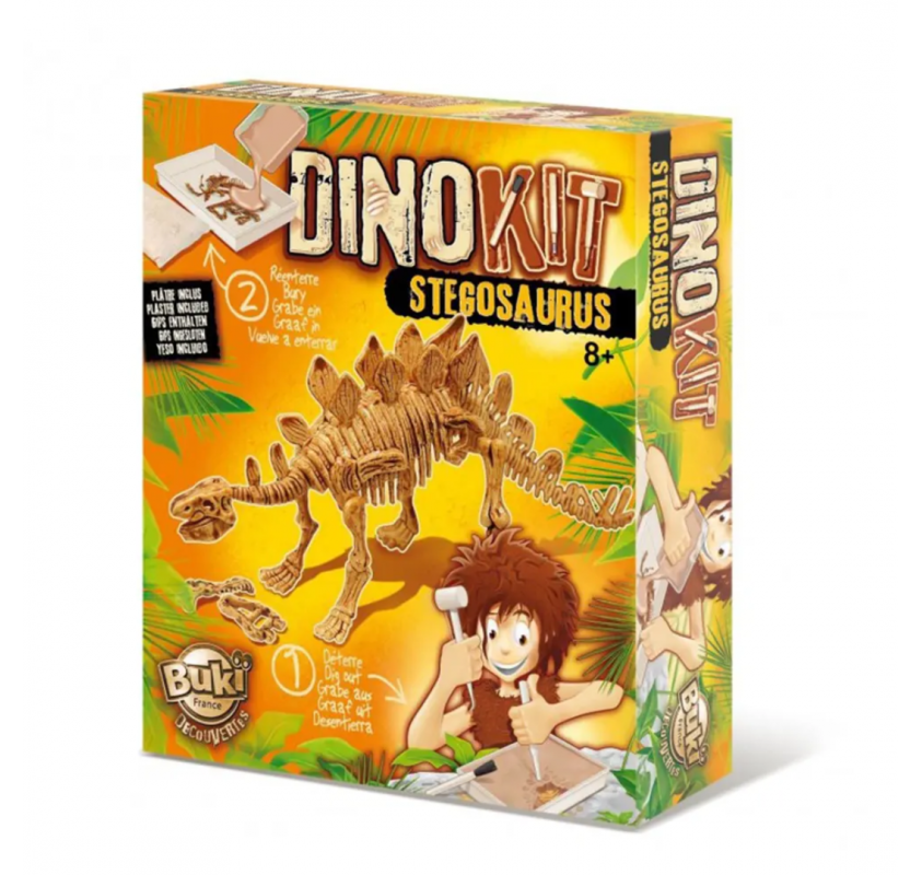 Dino Kit - Stégosaurus - Jeux éducatifs | Edunova