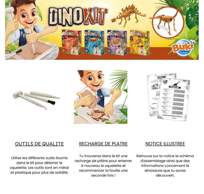 Dino Kit - Stégosaurus | Edunova Maroc
