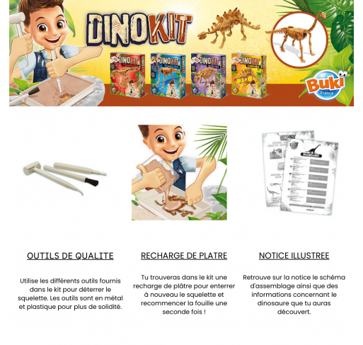 Dino Kit - Stégosaurus | Edunova Maroc