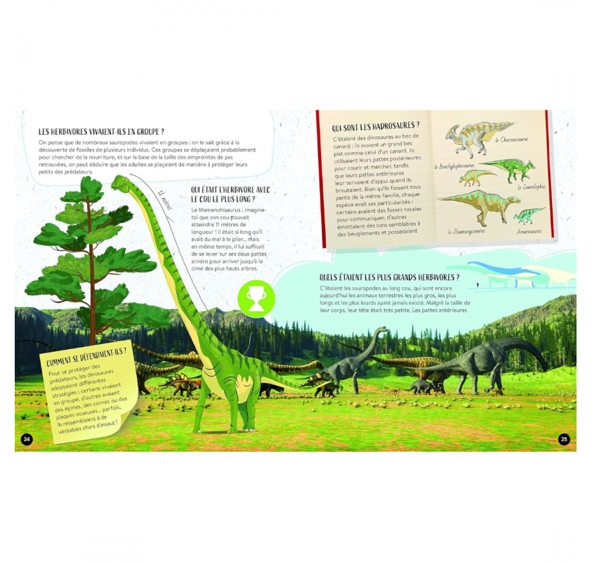 Le Coffret du Méga Atlas des Dinosaures | Edunova Maroc