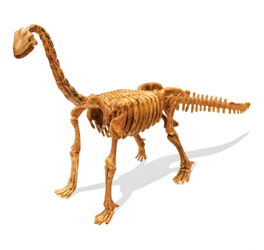 Dino Kit - Brachiosaure | Edunova Maroc