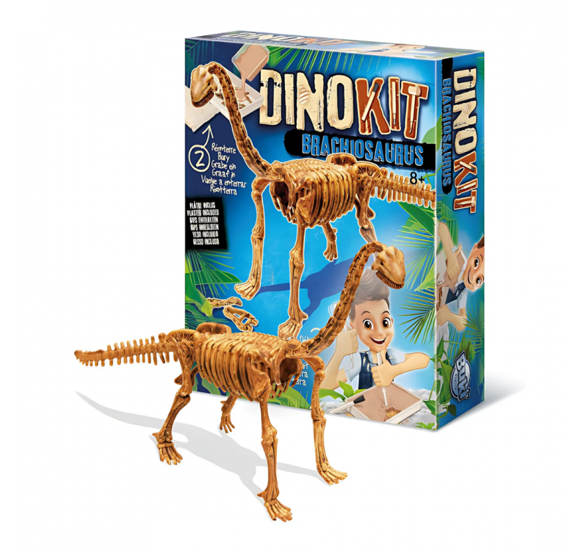 Dino Kit - Brachiosaure | Edunova Maroc
