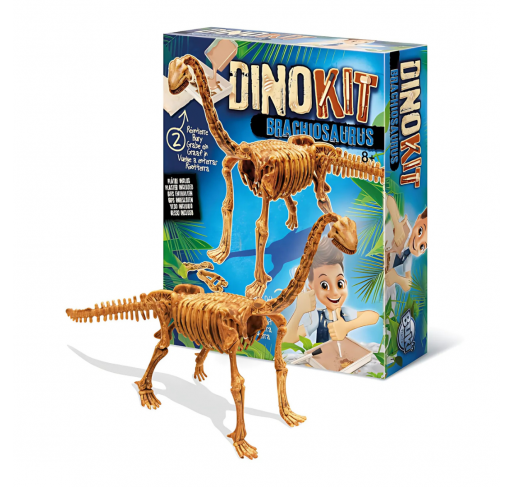 Dino Kit - Brachiosaure | Edunova Maroc